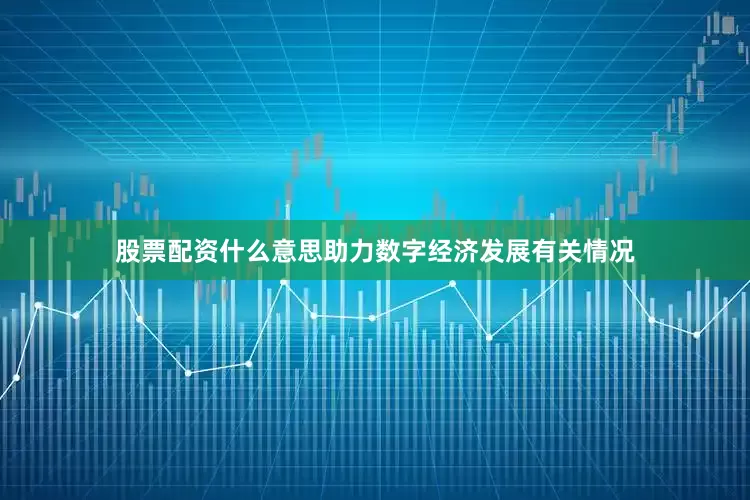 股票配资什么意思助力数字经济发展有关情况