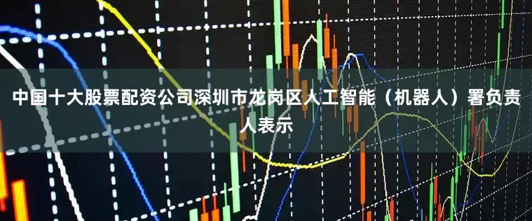 中国十大股票配资公司深圳市龙岗区人工智能（机器人）署负责人表示